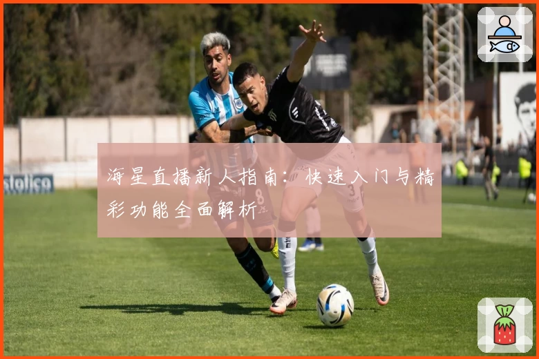 海星直播新人指南：快速入门与精彩功能全面解析
