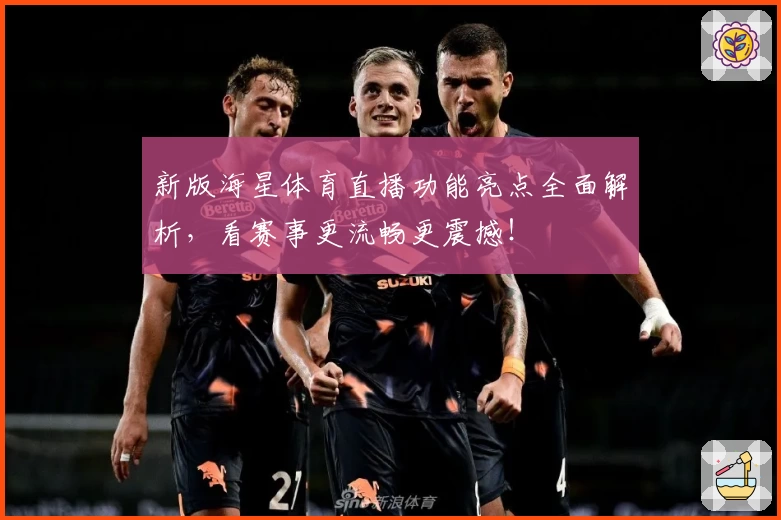 新版海星体育直播功能亮点全面解析，看赛事更流畅更震撼！